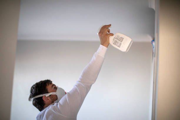 Best Preventive Mold Services in San Felipe, TX